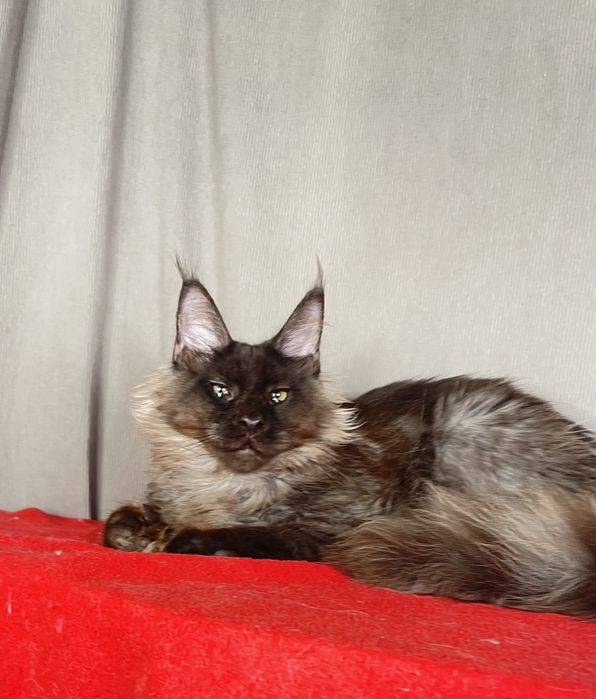 Черный дым мальчик