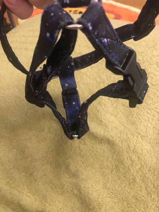 Szelki guard smycz miejska 2 m etui kosmos ciemny komplet dla psa kota