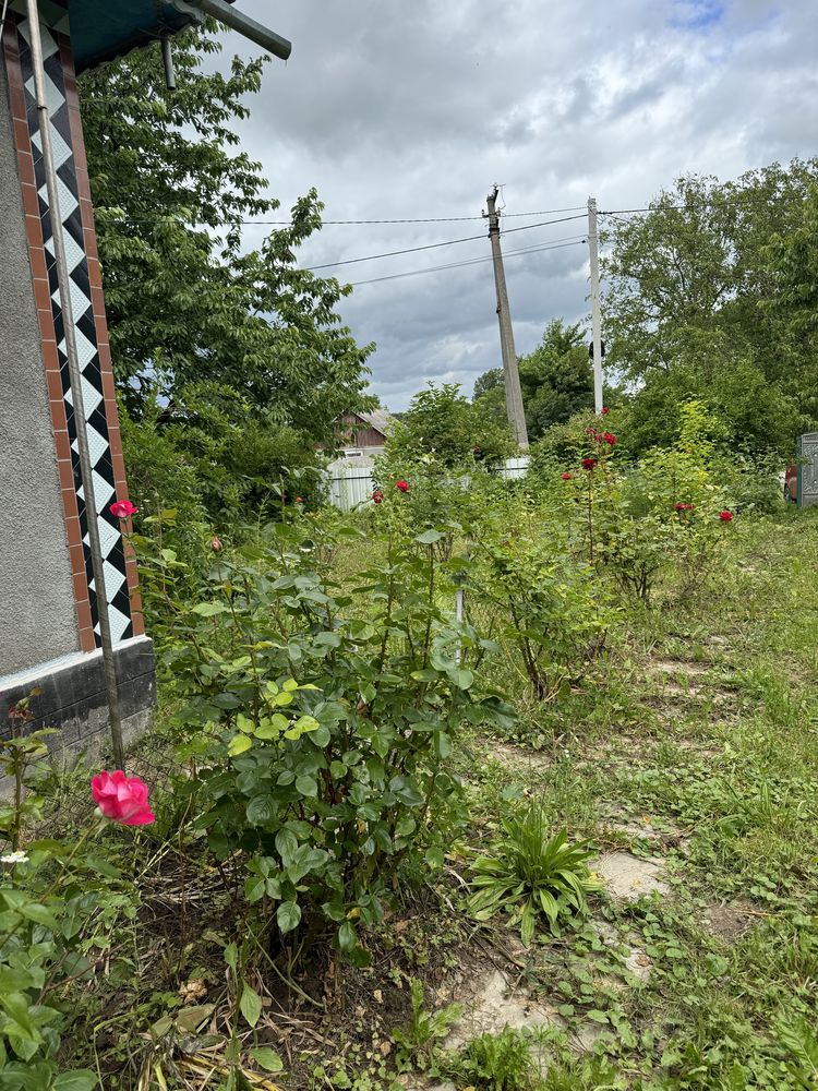 Будинок для спокійного життя  за містом.