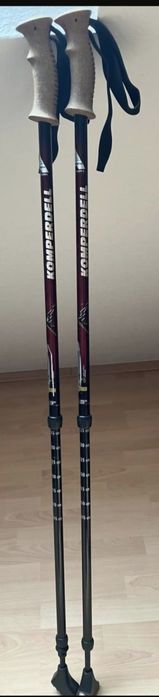 Палки трекинговые или для скандинавской ходьбы