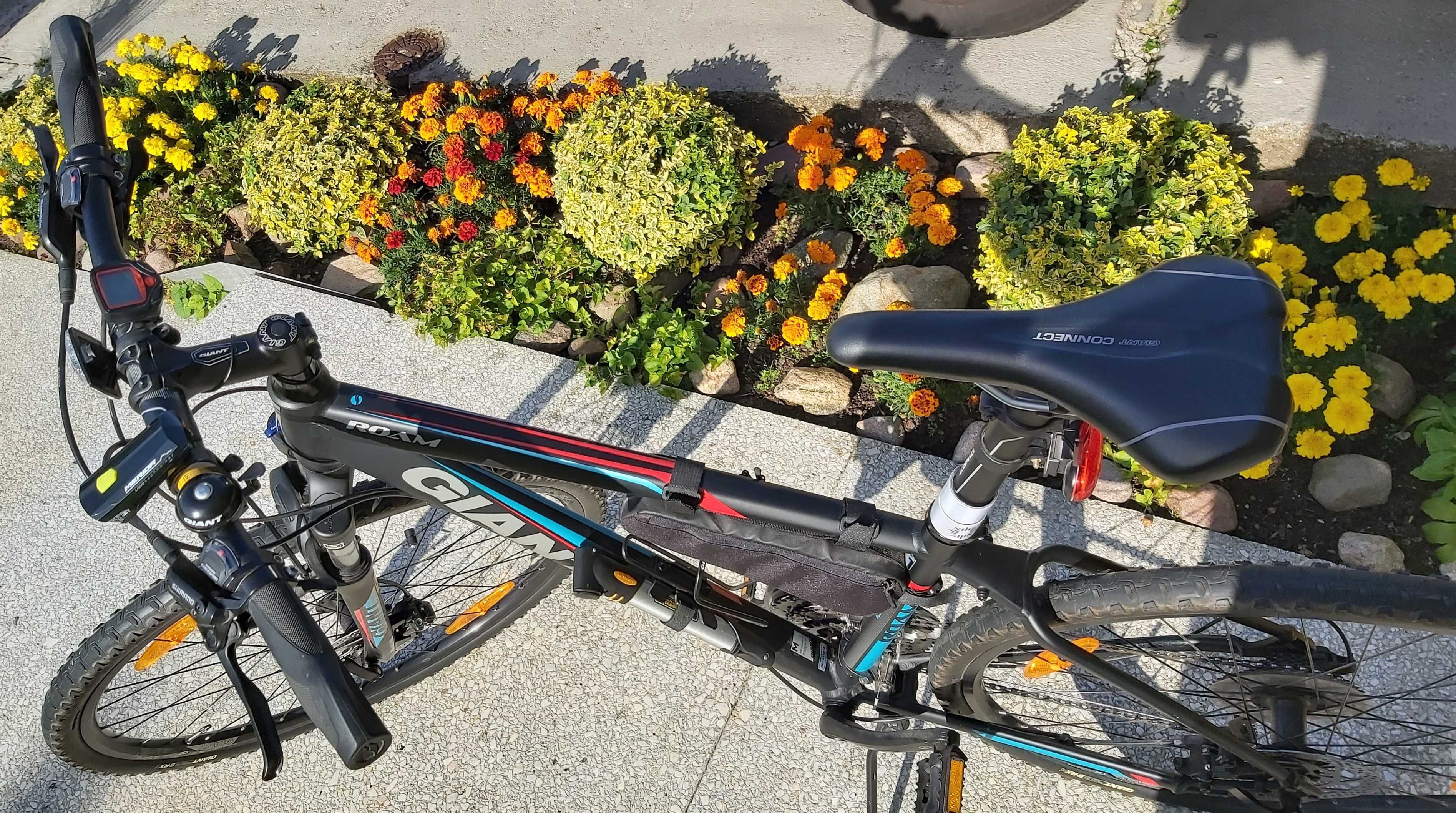 Rower Giant ROAM 1