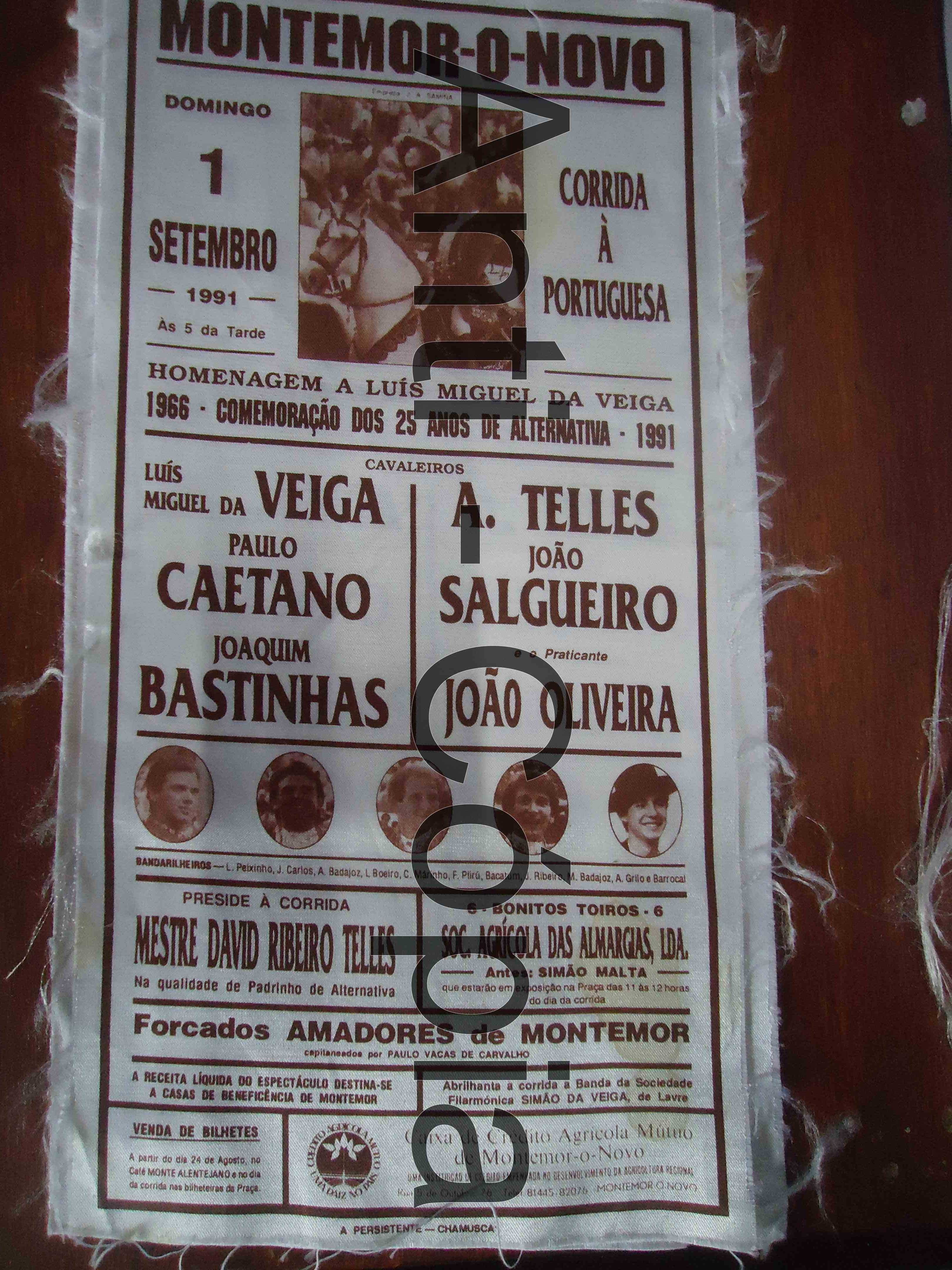 Toiros - Programas em Seda 4