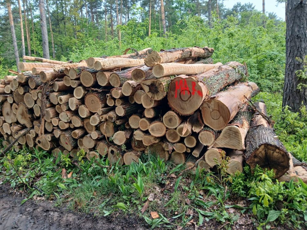 Drewno opałowe DĄB wałki, łupane, metry