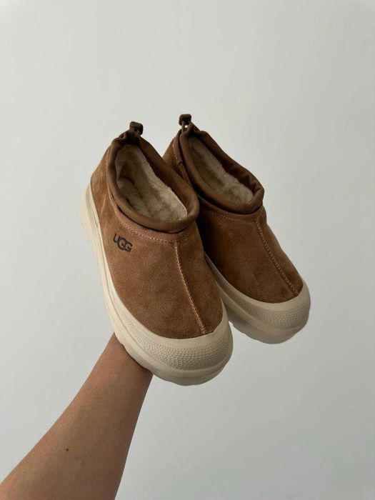 Угги UGG Tasman Hybrid Chestnut Beige / Уггі Тасман Гібрид бежеві замш