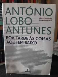 António Lobo Antunes – Boa tarde às coisas aqui em baixo
