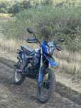 Forte 300 C5D.