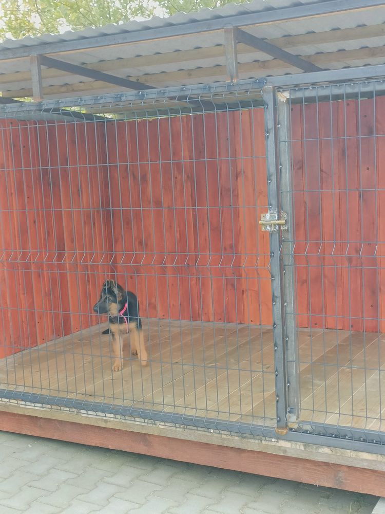 Kojec dla psa z budą 3.10x2