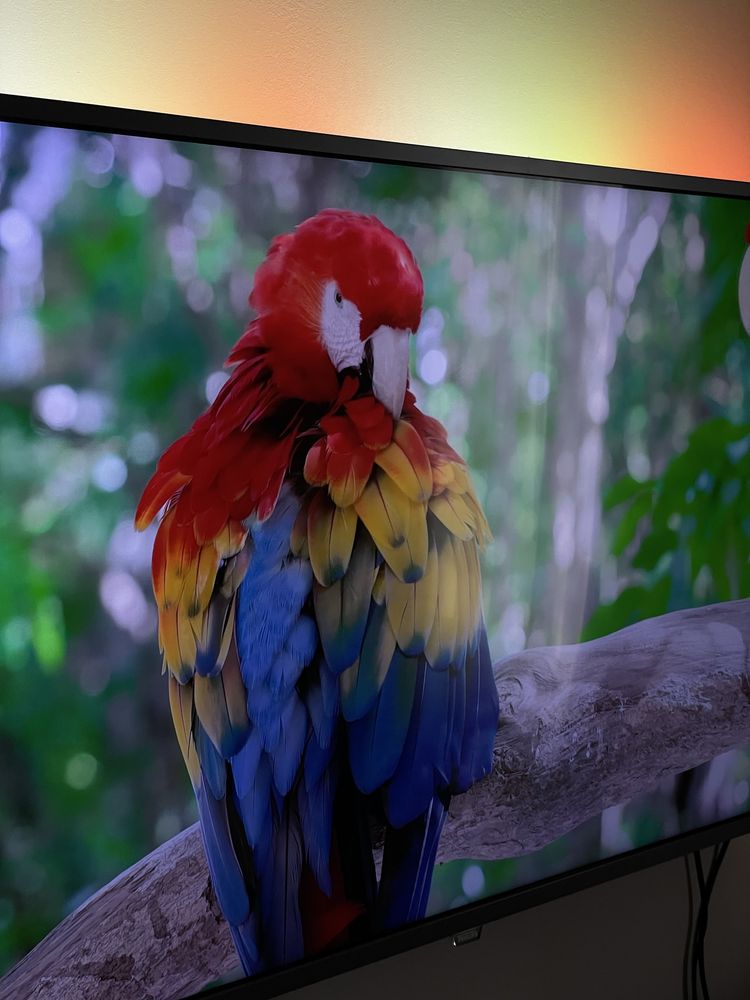 Телевізор Philips 43 ambilight