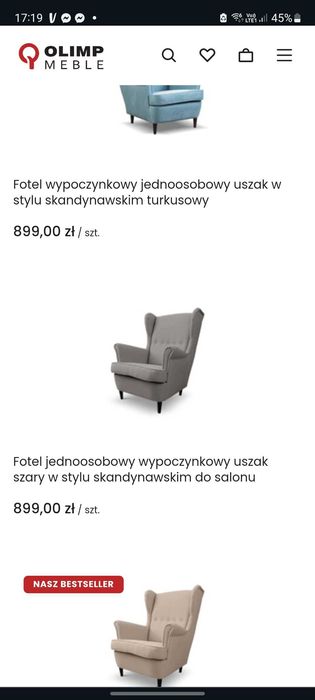 Fotel Uszak szary