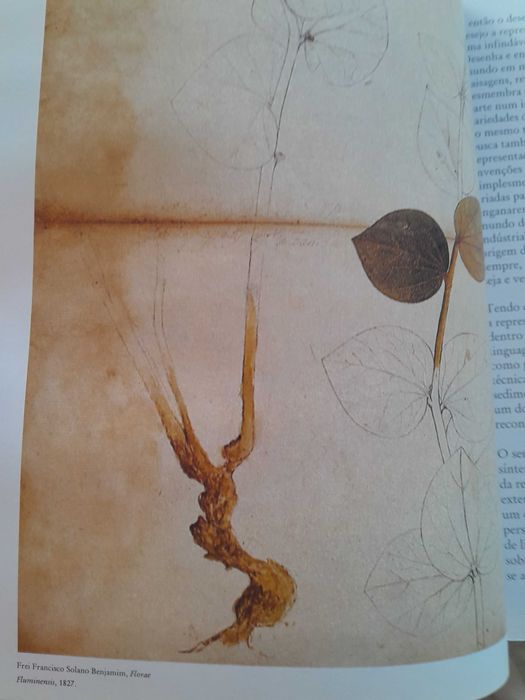 O desejo do Desenho