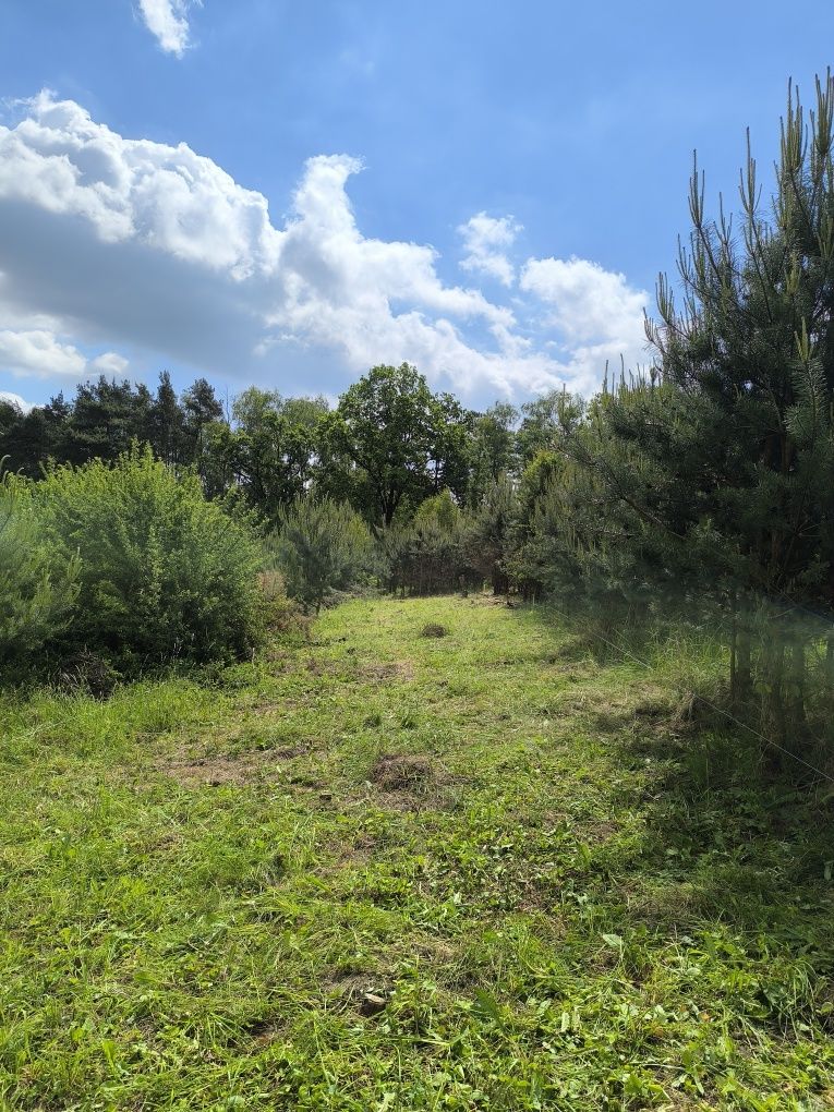 Malownicza działka nad jeziorem