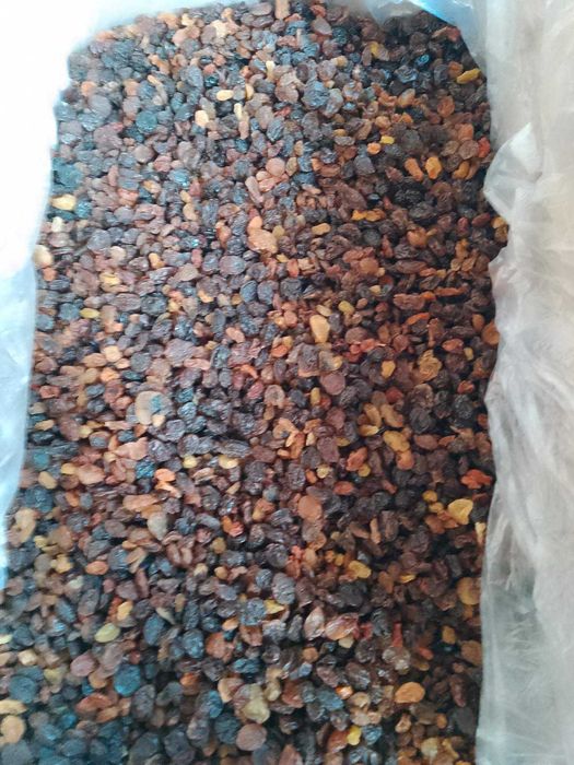 Rodzynki importowane z Iranu, 10kg kartonie