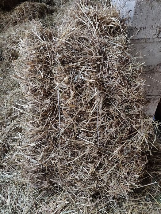 Sprzedam kostki siana