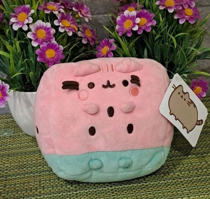 Pusheen arbuz prezent Mikołajki Święta