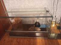 Terrarium dla gadów.