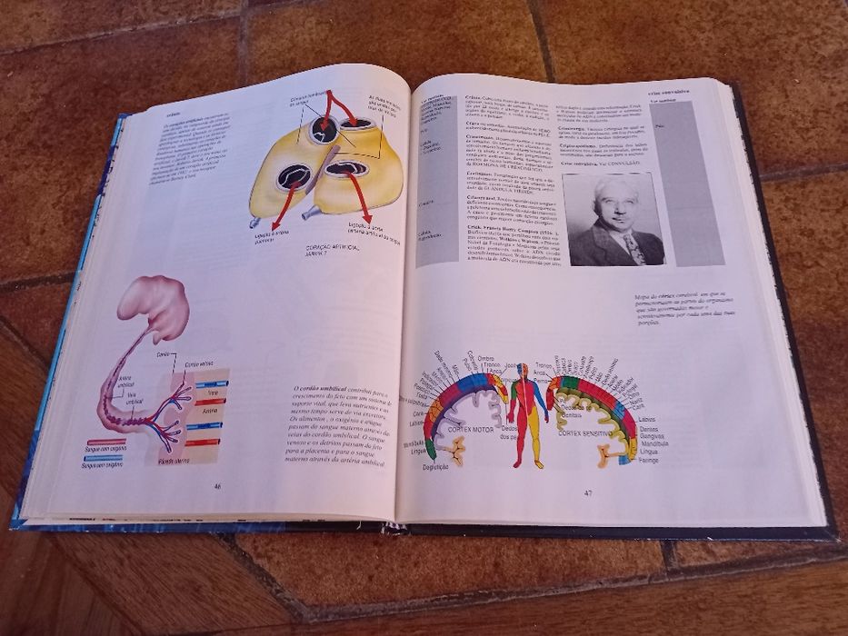 O Corpo Humano, Dicionário Básico das Ciências Médicas, Revista Visão