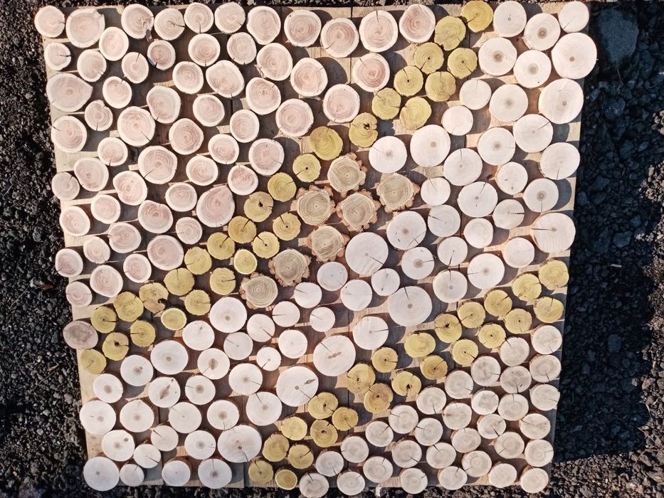 Слэб, торцевой срез дерева, спил, панно, декор из дерева