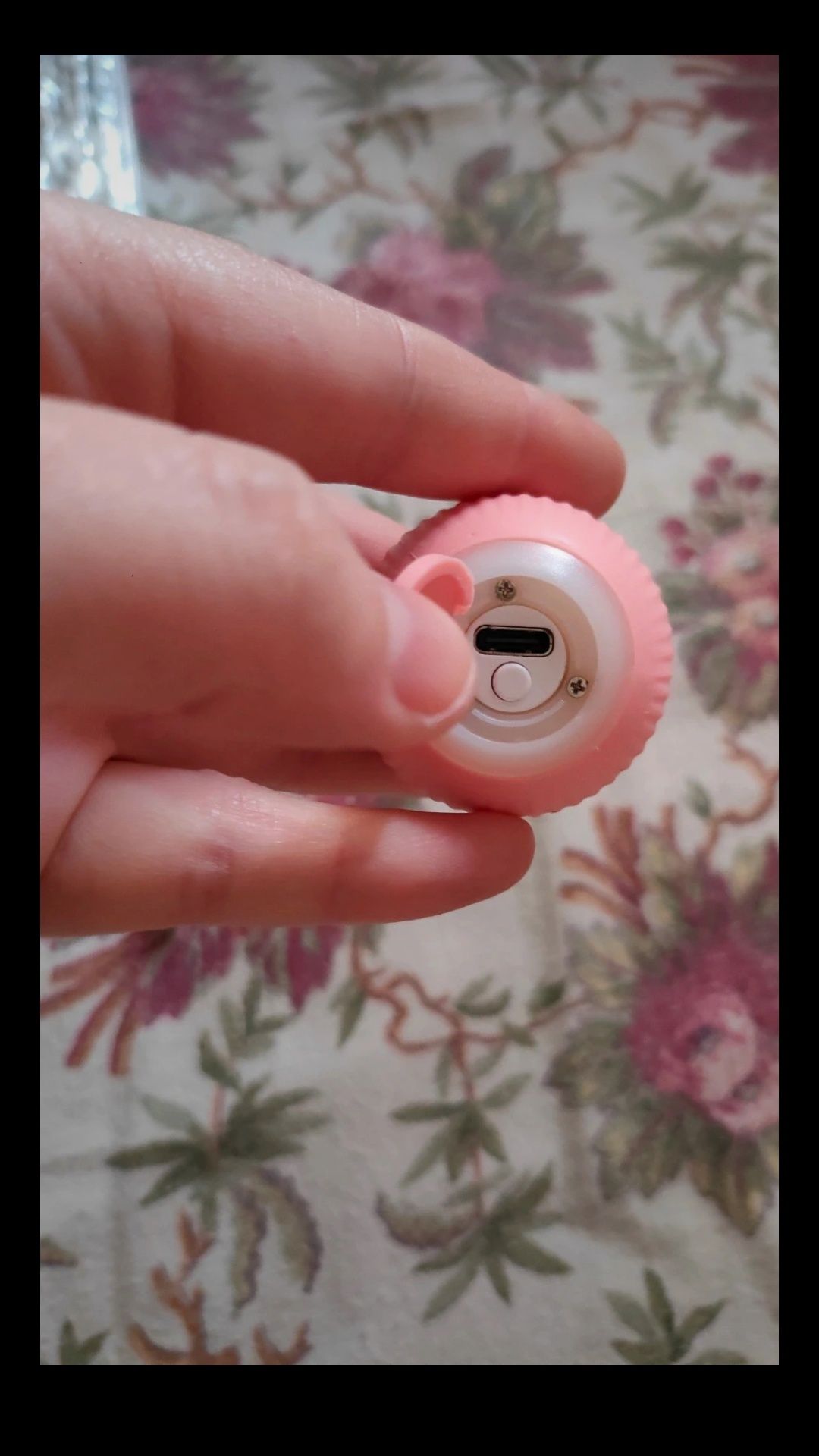 Bola para gato interativa