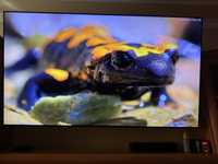 Телевизор Samsung Q65Q95T