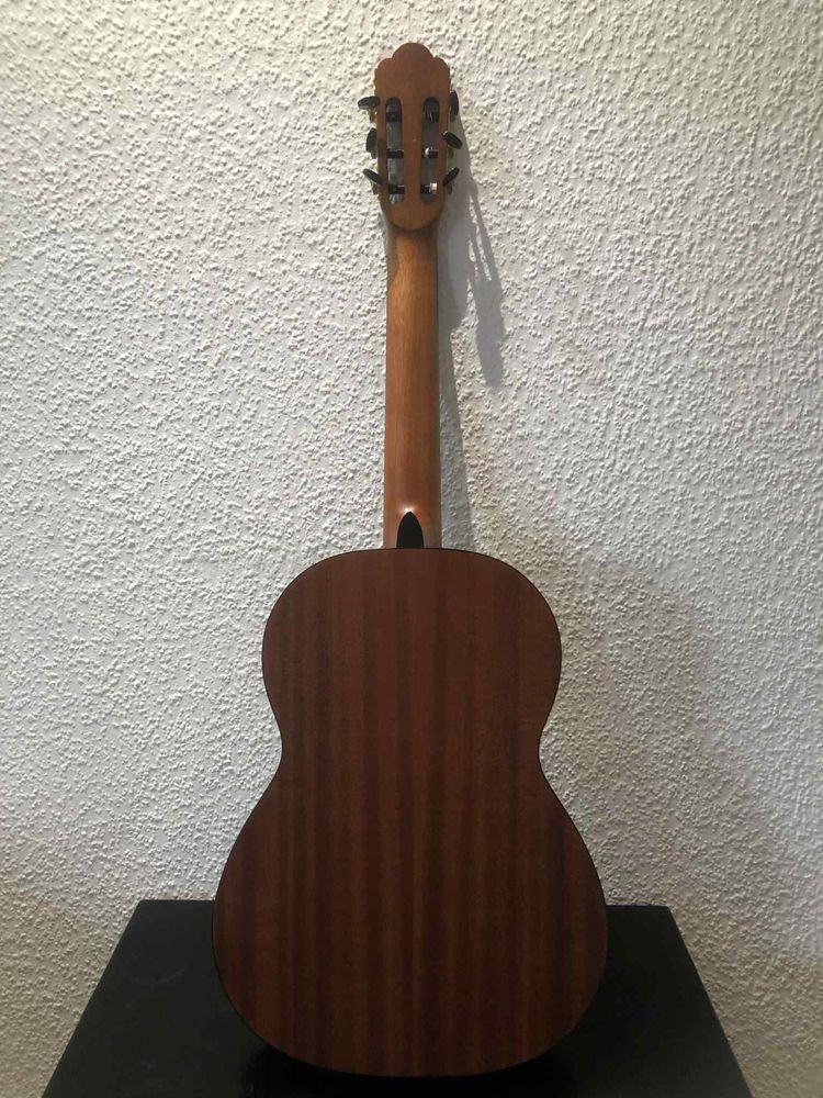 Gitara Salvador cs-244