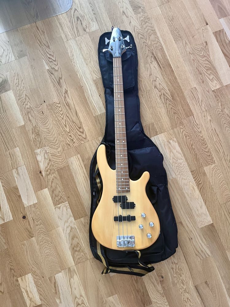 Gitara Basowa Vision [rezerwacja do 12.07]