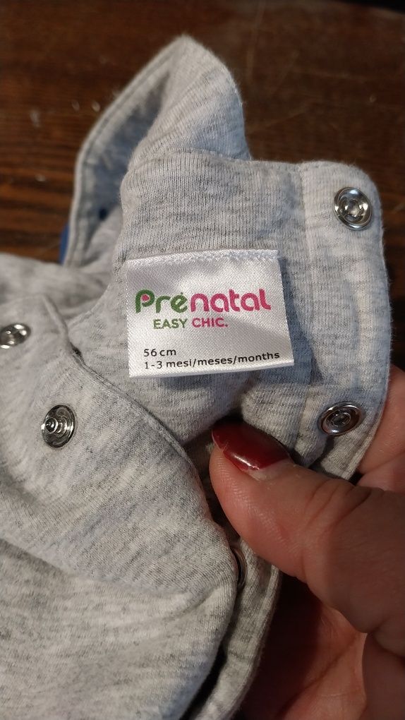 Fatinho inteiro 1m/3m pré natal