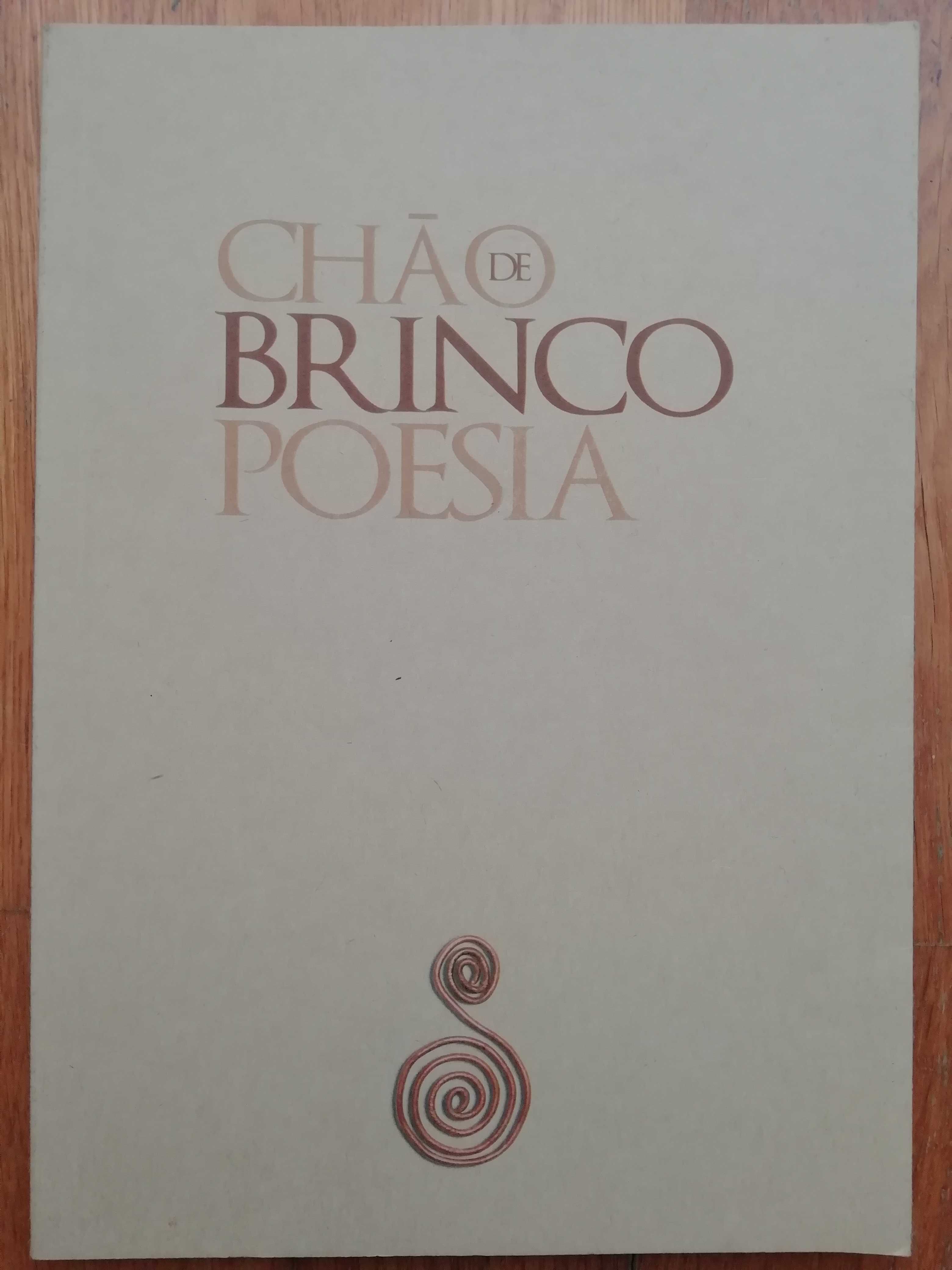 Chão de Brinco Poesia - nº1