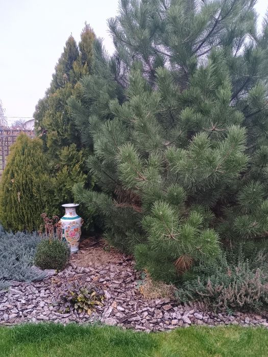 Вазон для саду з фаянсу.