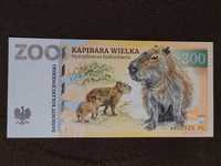 Banknot kolekcjonerski Zoo Wrocław 2024r Kapibara Widlja