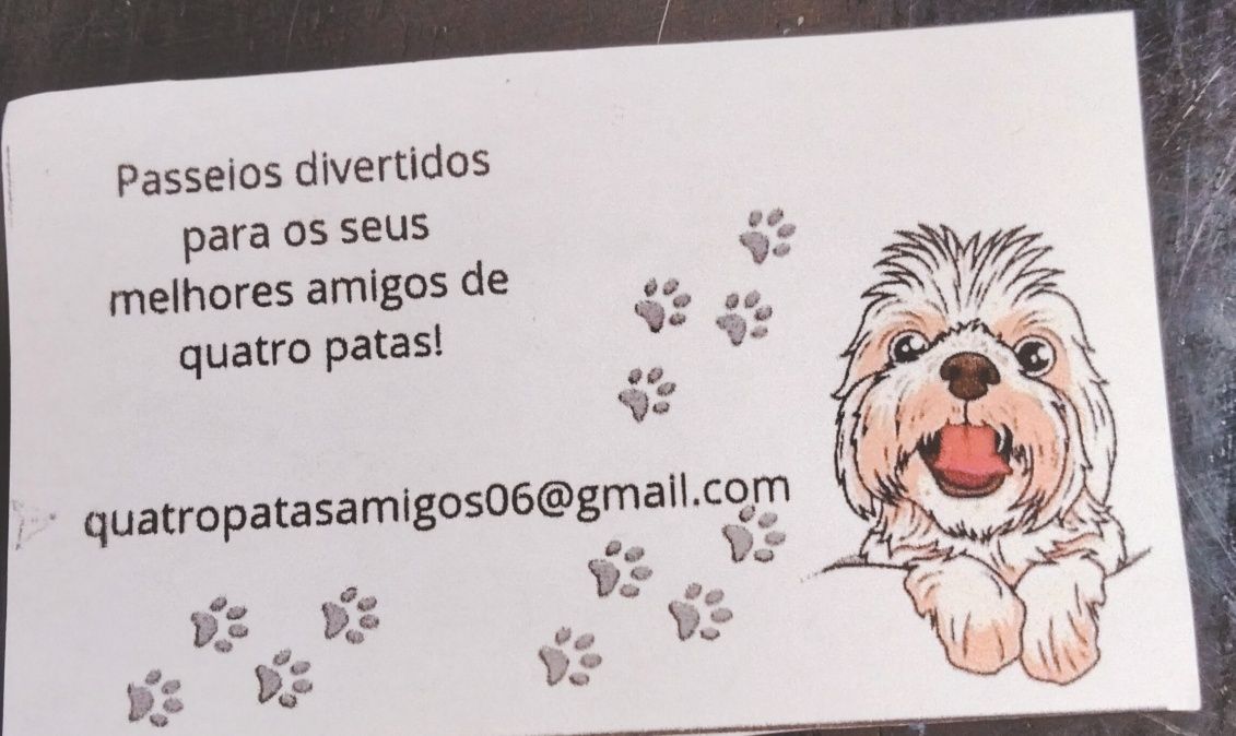 Passeamos o seu animal de estimação