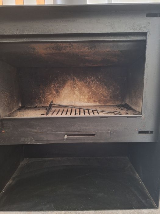 Salamadra a Lenha em Ferro