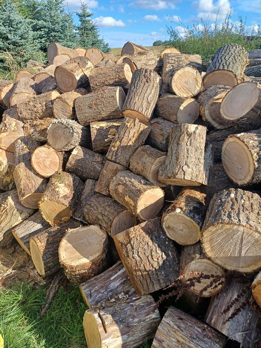 Drewno drzewo oplaowe dąb dębina