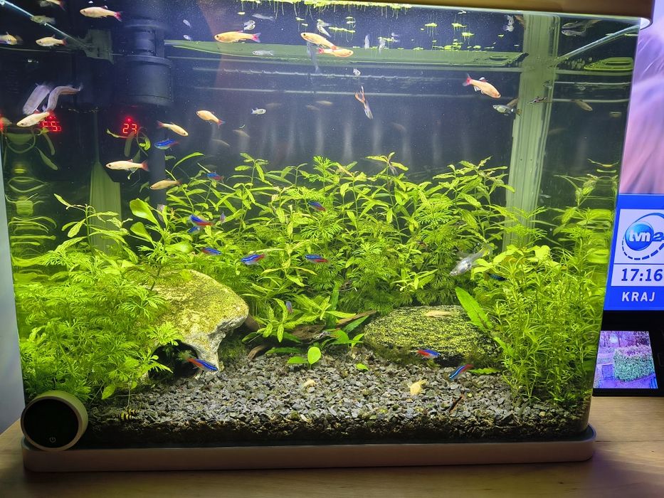 Designerskie oryginalne białe akwarium profilowane 50L LED INVITAL!