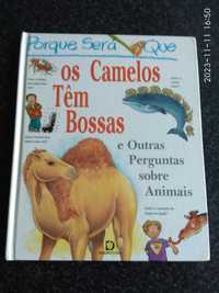 Livro infantil: Os camelos têm bossas