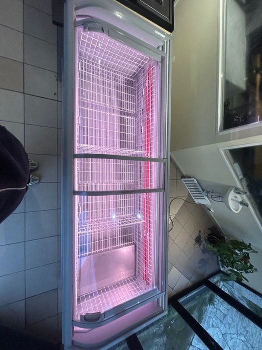 Zamrażarka Witryna AHT MIAMI (250) 2018 roku