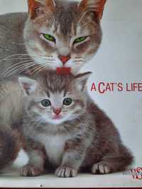 A CAT'' S LIFE edicao de soberbas fotografias  by Jane Burton