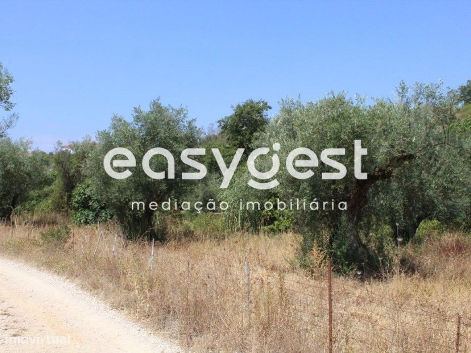 Terreno Rustico com 640m2, localizado a 10min da cidade de Tomar