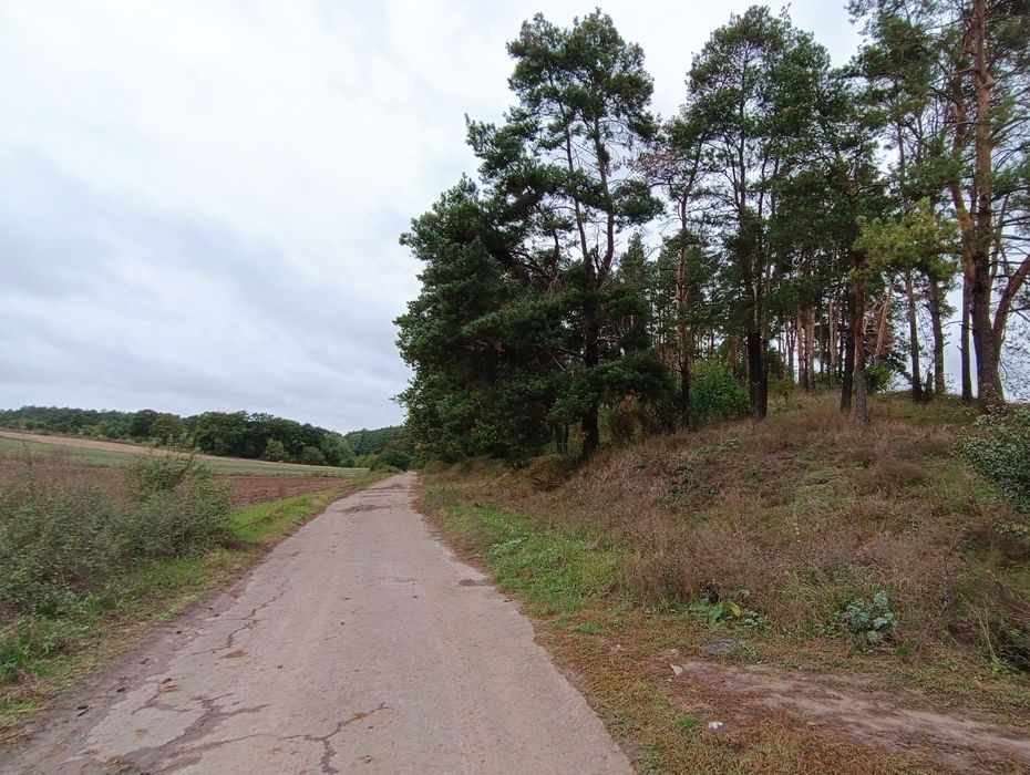 Продаж ділянки в Обарові. Асфальтний доїзд.