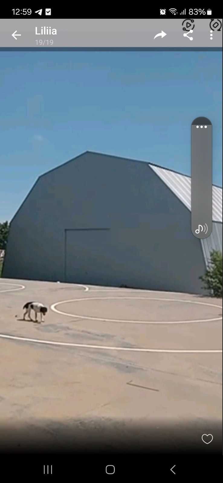 АНГАР         Б\У