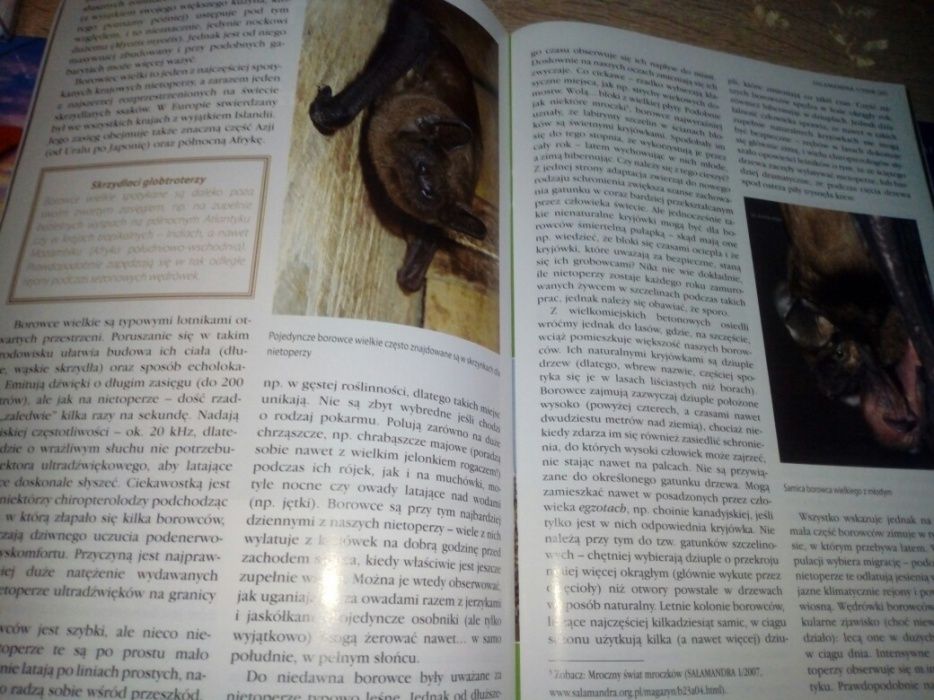 Magazyn przyrodniczy "Salamandra"