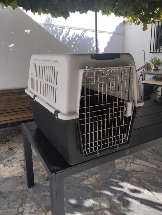 Transportadora Cão gde