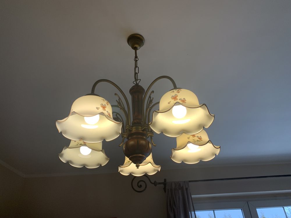 Lampy do salonu 5-ramienne