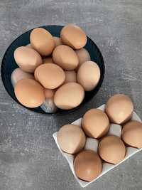 Яйца домашние ЭКО