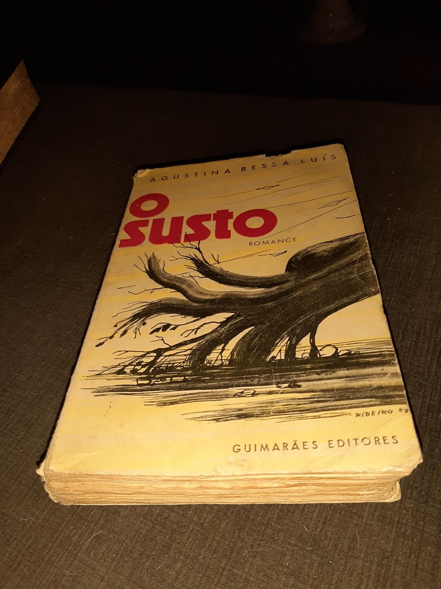 O Susto de Agustina  Bessa  Luís  1 Edição
