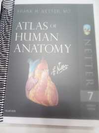 Netter's Atlas of human Anatomy