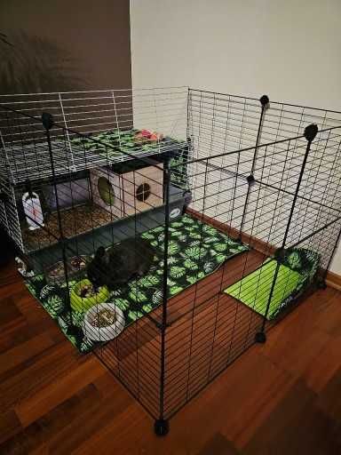 Klatka dla gryzoni królików świnki morskiej psa kota NOWA modułowa