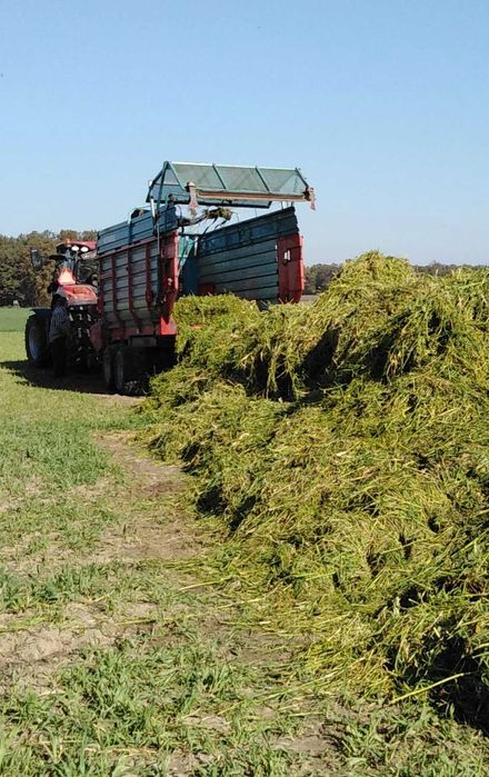 Przyczepa samozbierająca Mengele