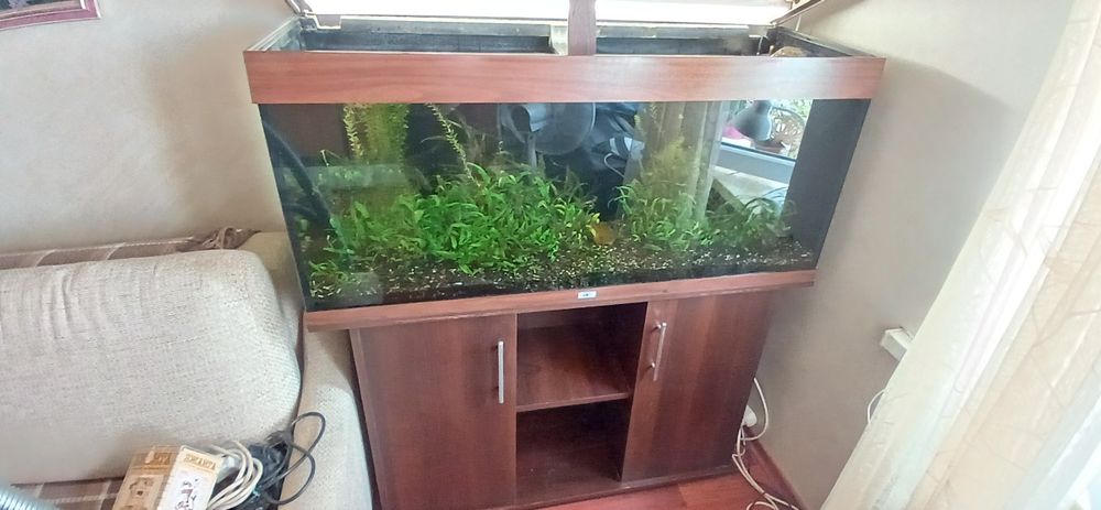 Аквариум juwel rio 240литров с тумбой  помпой и обогревателем.