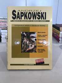 Andrzej Sapkowski Rękopis znaleziony w smoczej jaskini