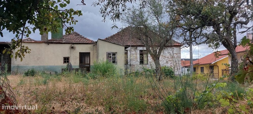 Casa Rústica em Moimenta da Beira com Jardim e Adega